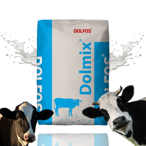 Dolmix BM p+  mineralna mieszanka paszowa dla krów mlecznych, 20 kg