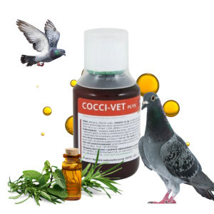 COCCI VET kokcydia robaki dla gołębi Vet Animal