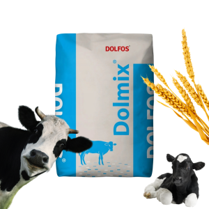 Dolmix BO – Witaminy i minerały dla bydła Wzrost i zdrowie Dolfos 10kg