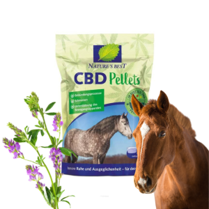 Nature’s Best CBD Pellets – Kannabidiol Mieszanka Paszowa Dla Koni 675g
