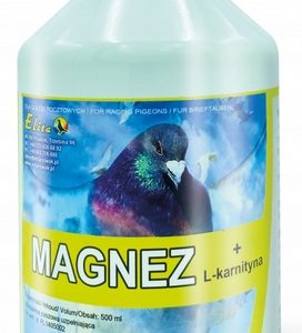 Magnez L Karnityna energia dla gołębi Elita 250ml