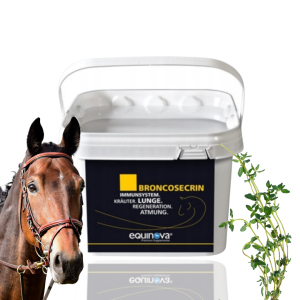 Equinova Broncosecrin Powder Suplement Przeciw Kaszlowi 1,4kg