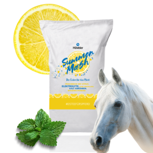Hoveler Mesz Herbatka Na Zimno Dla Konia Original Summer Mash 15kg