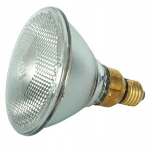 Promiennik żarówka lampa kwoka 100W Kerbl biała
