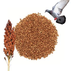 Sorgo Czerwone  Karma Dla Ptaków Naturalna Wysokoenergetyczna 1 kg