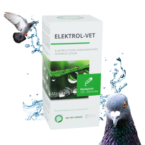 Elektrol vet elektrolit Centrum Zdrowia Gołębi 250 ml
