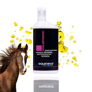Suplement na stawy Equinova “Hyalarthron Liquid” 1l