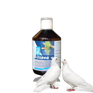 Backs Usnea barbata 500ml – Roztwór z brodaczki
