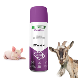 SILVECO Derm spray ochronny na skórę o fioletowym zabarwieniu 150 ml