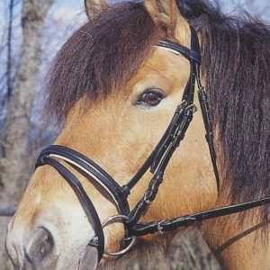 Ogłowie dla konia Standard czarny Cob Covalliero