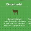 c87694de9a1b99886435886c4744e00d