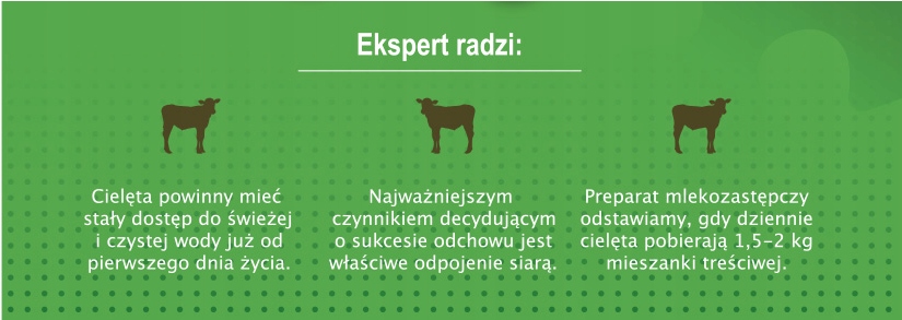 c87694de9a1b99886435886c4744e00d
