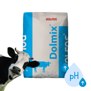Dolmix BM s+ mineralna mieszanka paszowa dla krów do pasz treściwych 20 kg