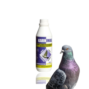 Karnimag 500ml PATRON z L-karnityną, Magnezem i Witaminą B5