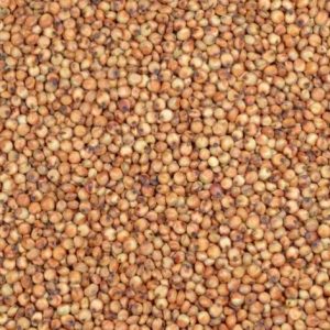Sorgo czerwone karma pasza zboże dla gołębi ptaków