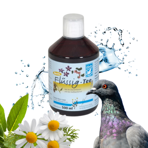 Backs Taubentee Flüssig 500ml – Płynny koncentrat herbaty dla gołębi