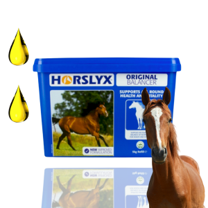 Horslyx Original Masa Energetyczna Dla Koni W Formie Bloków 5kg