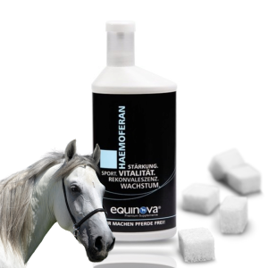 Equinova Haemoferan Liquid 5 l Suplement Witaminowy Z Żelazem