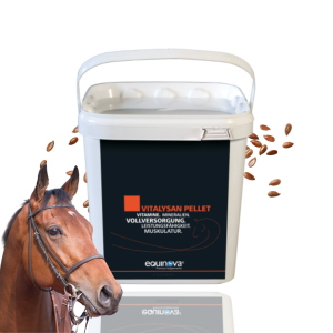 EQUINOVA Vitalysan Pellet 25 kg