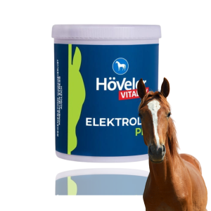 Höveler Elektrolyte Plus 1 KG