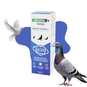 SILVECO+ Gołąb OCHRONA PRZED WIRUSAMI BAKTERIAMI I GRZYBAMI 500 ml