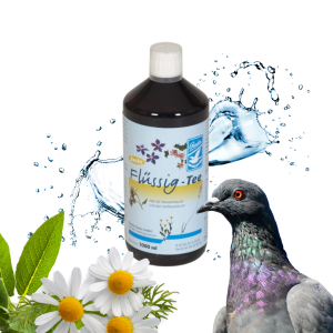 Backs Taubentee Flüssig 1000ml – Płynny koncentrat herbaty dla gołębi