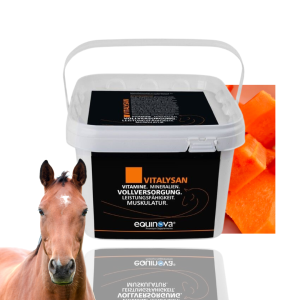 Equinova Vitalysan Powder 25 kg mieszanka mineralno-witaminowa