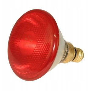 Promiennik żarówka lampa kwoka 175W Kerbl czerwony