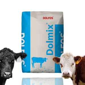 Witaminy dla bydła opasów byków Dolmix BO MET z metioniną DOLFOS 20kg