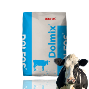 Dolfos Dolmix BZ dla krów na zasuszenie 10 kg