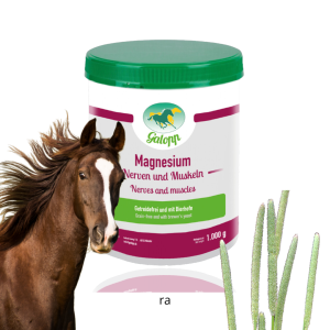 Magnez Galopp “Magnesium” 1 kg