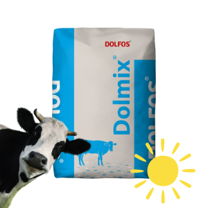DOLMIX BM HOT Przeciwdziała stresowi cieplnemu dla bydła Dolfos 20kg