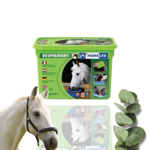 Horslyx Respiratory Masa Energetyczna Dla Koni W Formie Bloków 5kg