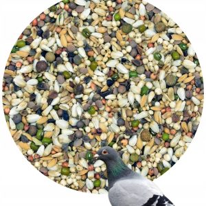 MDM DB – DIETA BOOSTER moc protein dla gołębi 25kg