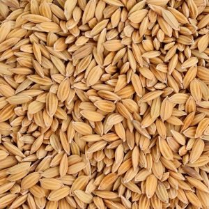 Ryż paddy dla gołębi ptaków gryzoni 1kg