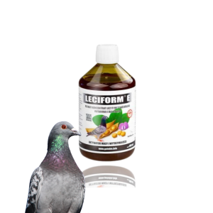 Leciform E płynny koncentrat lecytyny z naturalną wit.E 500ml