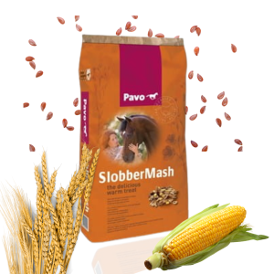 Pavo SlobberMash 15 kg – Klasyczny mesz zbożowy dla koni