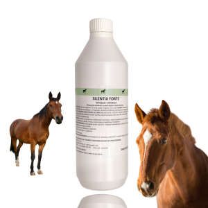 SILENTIX FORTE 1L na uspokojenie i stres – magnez z tryptofanem 5l