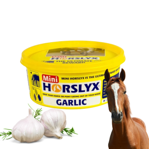 Horslyx Garlic Lizawka 650g