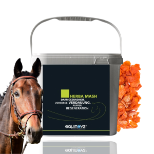 Equinova Herba Mash mesz ziołowy wspomaga trawienie i przemianę materii 5kg