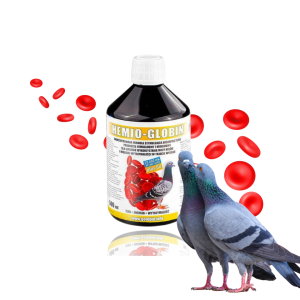 Hemo-Globin syrop żelazowy 500ml