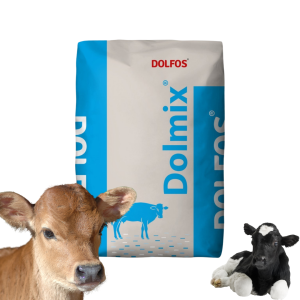 DOLMIX C witaminy dla cieląt DOLFOS 10kg