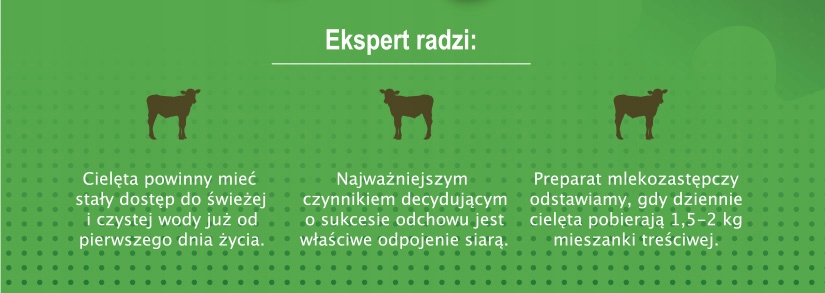 c29a2a1ed468853ac9f7d11de6495e01
