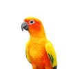 0f0b022c9d4832b5eff02b930e7f8b93