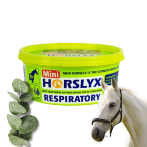 Horslyx Respiratory Masa Energetyczna Dla Koni W Formie Bloków 650g