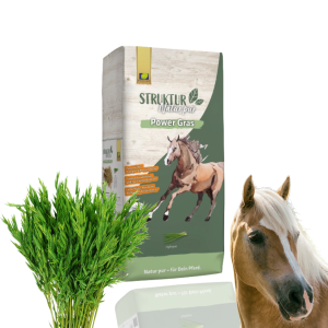 Nature’s Best Pur Power Gras Mieszanka Uzupełniająca Dla Koni 15kg