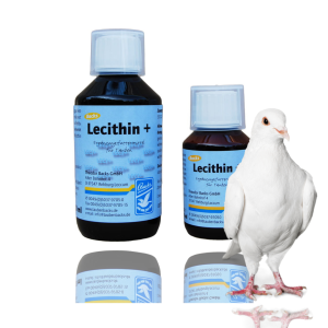 Lecithin – lecytyna naturalne źródło siły 250 ml