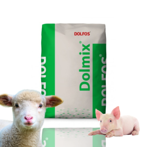 Torovit BD drożdże wit B owce kozy 10kg Dolfos