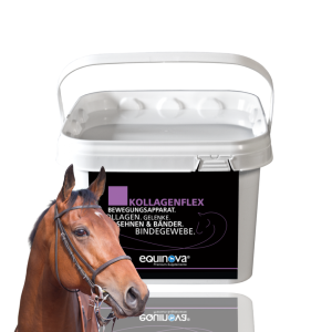 Suplement wspierający układ ruchu Equinova ”Kollagenflex” 2kg