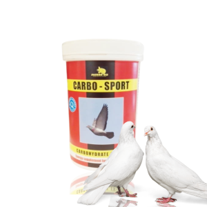 Carbo Sport – wspomaga podczas wysiłku  400g